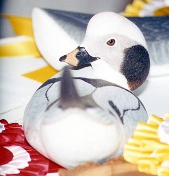 Oldsquaw Drake Palm Frond - 2nd Place in the 1995 California Open