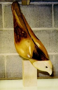 Peregrine Falcon Unpainted by Laurie J. McNeil